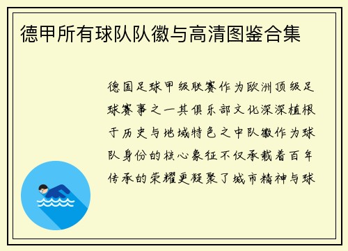 德甲所有球队队徽与高清图鉴合集